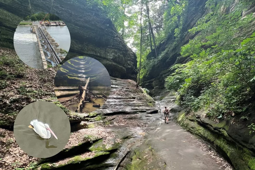 This State Park is Home to the Largest Collection of Canyons in Illinois