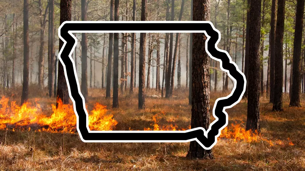 Iowa DNR Begins Annual Spring Burns: Why It’s Important